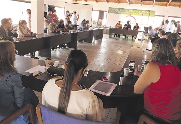 Tres mujeres buscan presidir la Brigada Parlamentaria Cruceña