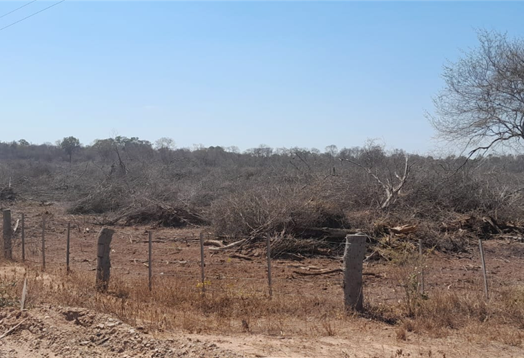 Crece la deforestación en los bosques del Chaco tarijeño