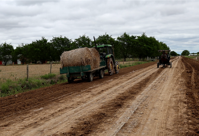 Surinam se retracta y ya no recibirá menonitas, la mayoría de Bolivia