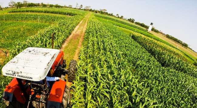 Agroindustria espera reunión con ministro de Desarrollo Rural y Tierras para tratar cupos de exportación