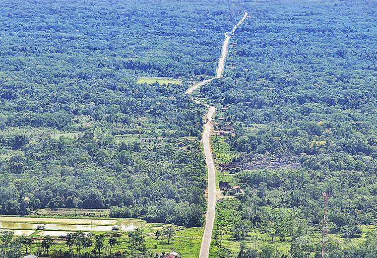 Pueblos indígenas: arrinconados en sus propios territorios