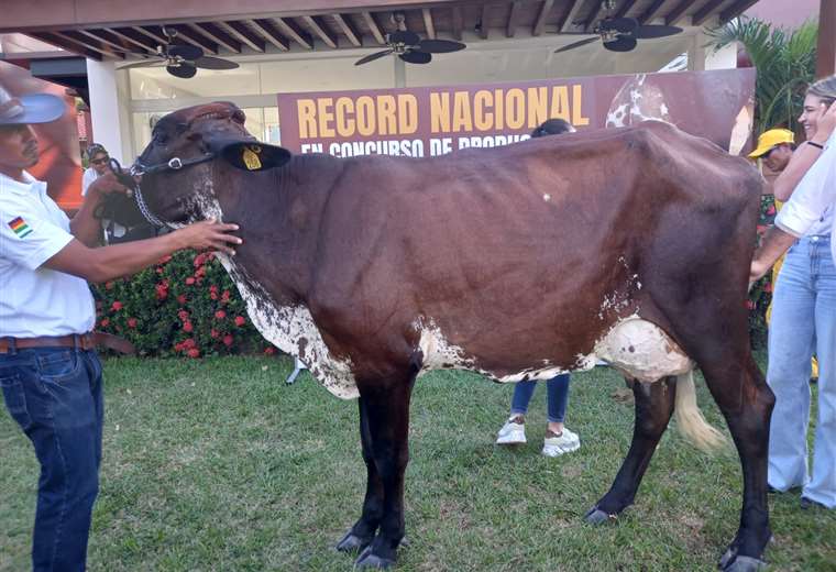 Nuevo récord nacional de producción lechera en Agropecruz 2024