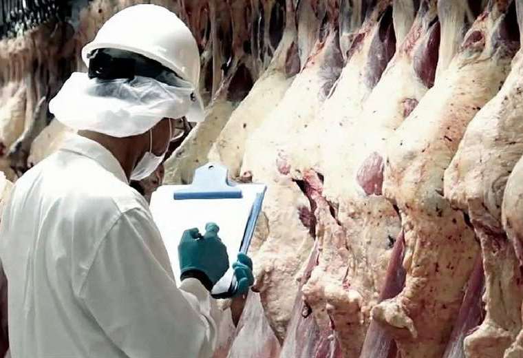 En 2023, la exportación de carne llegó a $us 200 millones y se afianza como el segundo rubro más importante del sector no tradicional