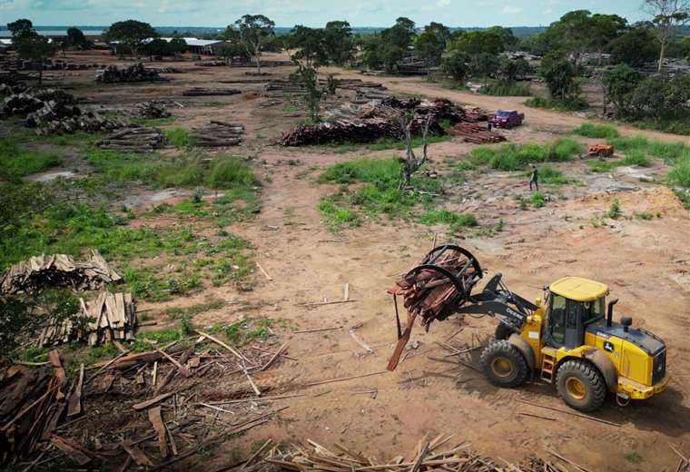 ¿Qué es el biochar, del que una firma boliviana apunta a producir 100 mil toneladas?