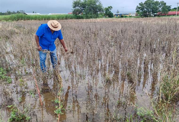 Lluvias en Ascensión de Guarayos: hay 38 comunidades afectadas y 1.300 kilómetros de caminos dañados