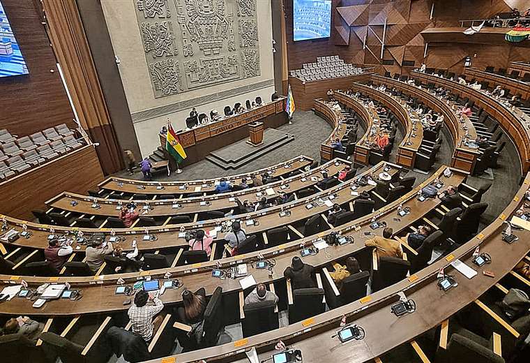 Hay 24 leyes bloqueadas en el Legislativo en medio de la crisis judicial