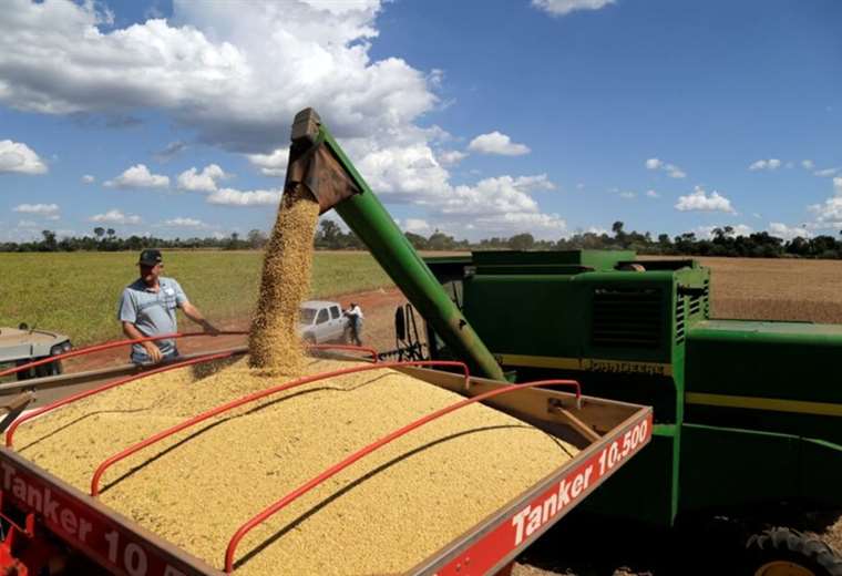 Urge diésel para cosechar 360.000 hectáreas de soya antes de las lluvias de la próxima semana