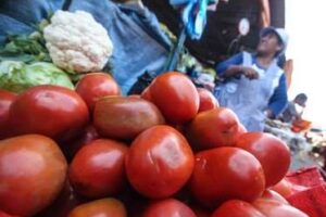 Para INE, el incremento del precio del tomate es una situación generalizada en la región, producto del fenómeno del Niño