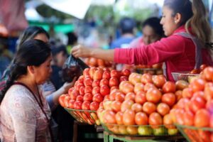 Gobierno asegura que en un par de semanas bajarán los precios de las frutas y verduras