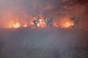Incendio forestal en Brasil cruza la frontera y afecta a Puerto Quijarro