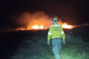 Bomberos combaten nueve incendios forestales en Santa Cruz