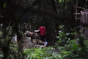Vecinos denuncian avasallamiento en predios colindantes con el Jardín Botánico