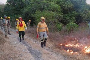 Bomberos forestales contienen incendio en Puerto Suárez y Puerto Quijarro