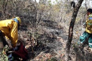 Santa Cruz combate ocho incendios activos y supera las 52 mil hectáreas afectadas