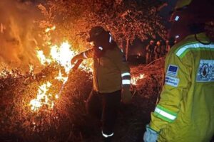 Defensa Civil: Incendio forestal amenaza San Matías