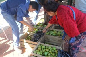 «Nos venden tomates verdes, es una burla», dicen vecinos que acuden a feria habilitada por el Gobierno