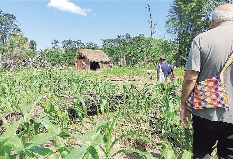 Indígenas sin territorio, el pecado mortal del Estado Plurinacional