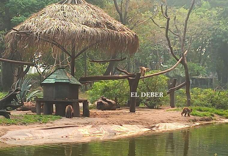 Vacaciones invernales: el Zoológico y el Jardín Botánico se preparan para las visitas