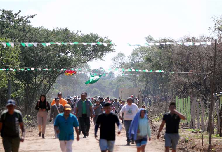 Mafias organizadas operan en avasallamientos de predios colindantes al Jardín Botánico