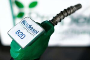 Gobierno pretende sustituir el 100% de las importaciones de diésel fósil y aditivos de gasolina para el año 2050