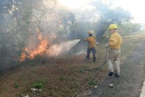 Santa Cruz registra 12 incendios activos; el fuego ya arrasó más de 100.000 hectáreas