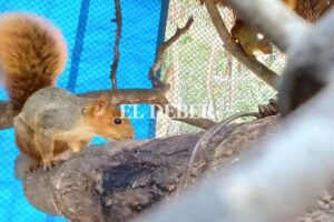 Zoológico protege a sus animales del intenso frío