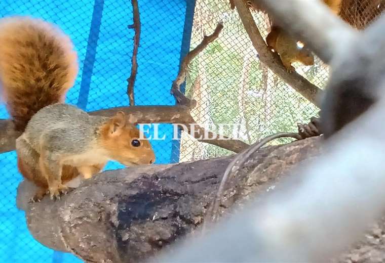 Zoológico protege a sus animales del intenso frío