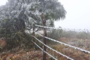 Las temperaturas bajo cero se adelantaron a lo previsto en los Valles cruceños