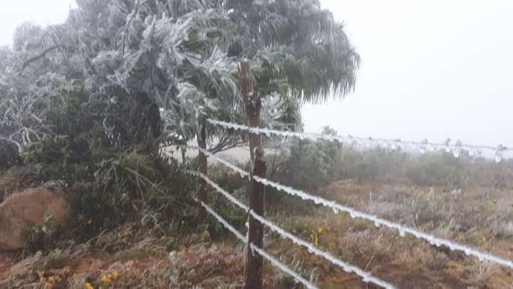 Las temperaturas bajo cero se adelantaron a lo previsto en los Valles cruceños