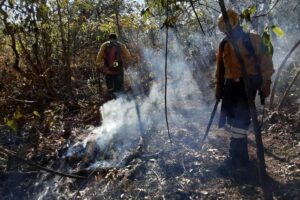 Combaten seis incendios forestales en Santa Cruz; hay 72.843 hectáreas afectadas