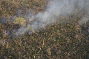Gobernación envía tres cisternas y brigadas para combatir nueve incendios forestales
