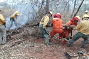 Santa Cruz: reportan 10 incendios activos y más de 100.000 hectáreas afectadas