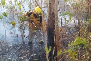 Incendios y sequía golpean duro a la provincia Ángel Sandóval