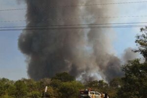 Van 101.885 hectáreas quemadas y abren procesos por incendio