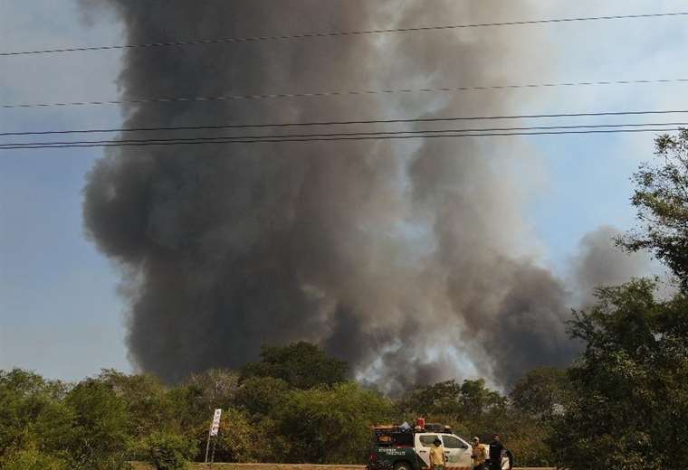 Van 101.885 hectáreas quemadas y abren procesos por incendio