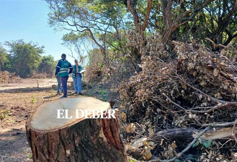 Concejales inspeccionan terrenos avasallados cerca al Jardín Botánico