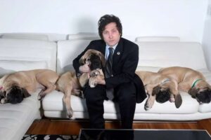 Perros de Milei protegidos por límites al acceso de la información en Argentina