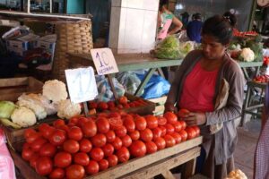 Productores alertan que la crisis de carburante y de divisas pone en riesgo el abastecimiento de alimentos