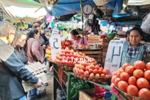 Productores alertan una posible escasez de alimentos, conozca las razones