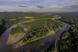 Ambientalistas rechazan emisión de bonos de carbono y uso de transgénicos