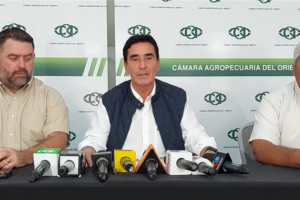 CAO advierte déficit de producción de alimentos en el país