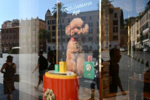 Dolce & Gabbana lanza un perfume para perros a más de 100 dólares