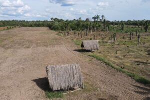 El saneamiento de tierra llega a un 93% de avance y el INRA anuncia reversión de 270.000 hectáreas