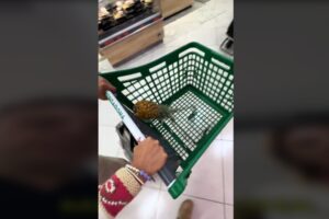 Ligar en el supermercado, el fenómeno viral del que todos hablan en España