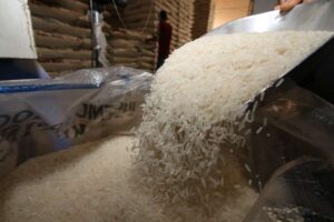 Falta un 25% de arroz para cubrir la demanda interna