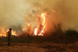 Investigador ve que medidas del Gobierno ignora las causas estructurales de los incendios