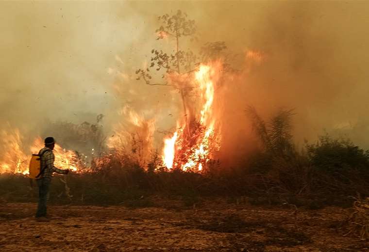 Investigador ve que medidas del Gobierno ignora las causas estructurales de los incendios