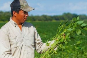 Proyecto de ley busca que pequeños productores pasen a medianos o grandes, para obtener créditos