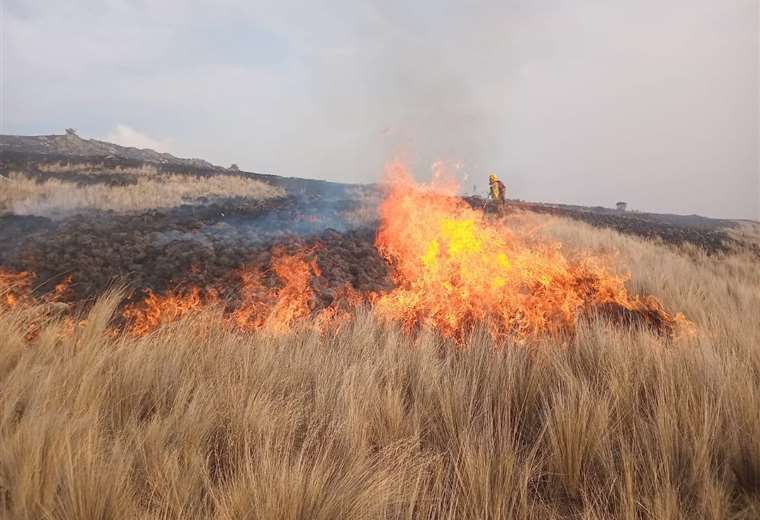 Incendios: Proponen crear el Comando Nacional de Bomberos Forestales