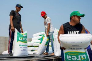 Crece la venta de urea en el mercado interno, Santa Cruz acapara el 63% de la producción